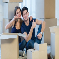 House Removals