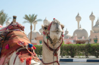 Egypt eVisa for Australian Citizens