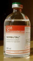 Are you tired of living? take Nembutal.