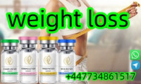 lose weight Semaglutide Tirzepatide Retatrutide Epitalon