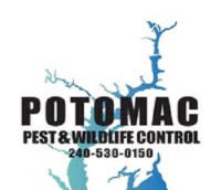 Potomac Pest and Wildlife Control