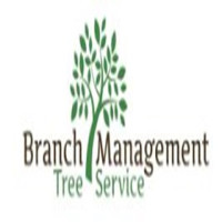 Branch Management Tree Service