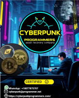 HIRE A GENUINE CRYPTO RECOVERY SERVICE TO RECOVER FROM FRAUDLENT PLATFORMS; CYBERPUNK PROGRAMMERS