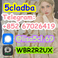 5CL-ADBA Strongest Research Chemical 5cl Precursor 5cladba From Factory