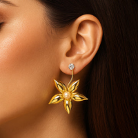 Stylish Western Earrings: Elevate Your Everyday Fashion