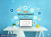 Web Development Company in Delhi,