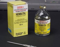 nembutal 100ml, 250ml, 500ml available