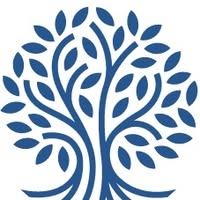 Root Cause Chiropractic — Gentle Care for Pain Relief