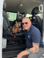 Reliable Pet Transport Services in London