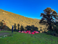 Planning a Dayara Bugyal Trek for the First Time