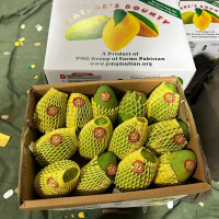 Buy Export Quality Chaunsa Mango