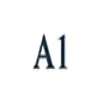 A1 Tours India