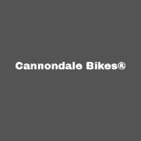 Cannondale Cargowagon Neo – Electric Cargo Bike for Efficient Urban Transport
