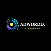 Adwordix (Unit of S S Technologies) - SEO Company Gurgaon