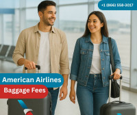 American Airlines Baggage Fees: Everything You Need to Know Before You Fly