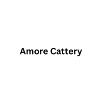 Amore Cattery