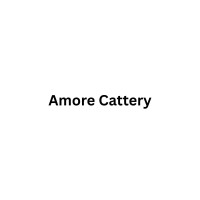 Amore Cattery