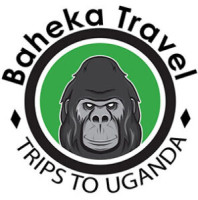 Africa Safari Tour Packages