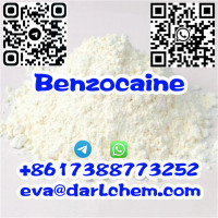 Nootropics Benzocaine powder Salt CAS 94-09-7
