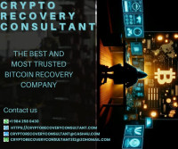 HOW CRYPTO RECOVERY CONSULTANT SAVED ME FROM A $137,000 SCAM