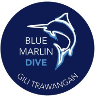 Blue Marlin Dive Gili Trawangan