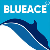 Blueace India Limited
