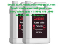 Caluanie Manufacturer in USA