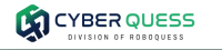 Cyber Quess - cyber security solution provider in India