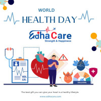 Lowest Cost Of Bone Marrow Transplant In Qatar
