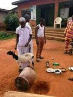 The best powerful spiritual herbalist in Nigeria+2347042962713