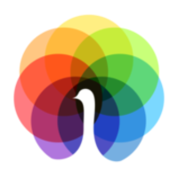 Peafowl IT Solution