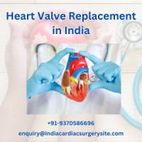 Heart Valve Replacement cost India