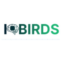 IQbirds: Innovating Web Development and Digital Marketing