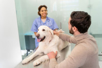 IVG Pet Health: Imaging, Labs & Dental Care