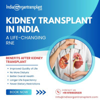 Kidney Transplant Cost india