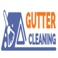 Gutter Cleaning