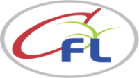 Chintamani Finlease Ltd.