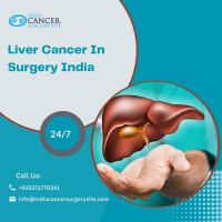 Liver Cancer Operation Cost India