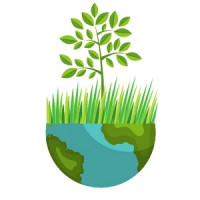 Grass Theory