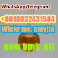 20320-59-6 bmk oil /5449-12-7 bmk powder/5413-05-8//1451-83-8