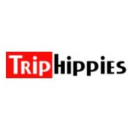 Plan Your Perfect Trip with Expert Tips from Triphippies