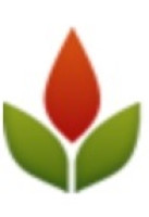 LinkHelpers Phoenix Digital Marketing