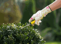 Pressure Washing Wandsworth