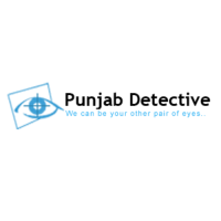 Detective in Ludhiana
