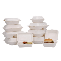 Biodegradable Food Containers Takeaway Food Packaging