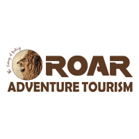 VIP Desert Safari | Dubai Desert Safari |Roar Adventure Tourism LLC