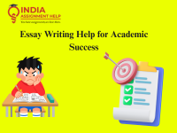 Trusted Essay Writing Ireland for Students
