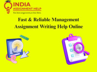 Fast & Reliable Management Assignment Writing Help Online
