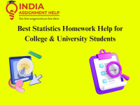 Best Statistics Homework Help for College & University Students