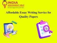 Affordable Essay Writing Service for Quality Papers